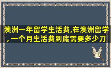 澳洲一年留学生活费,在澳洲留学, 一个月生活费到底需要多少刀